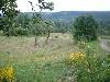 2003_0720_115138AA.jpg